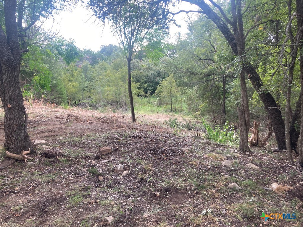 16980 S Fort Hood Street Property Photo 14