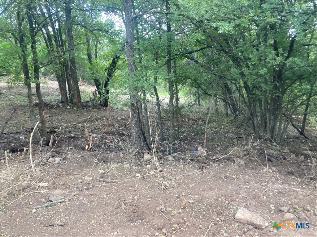 16980 S Fort Hood Street Property Photo 15