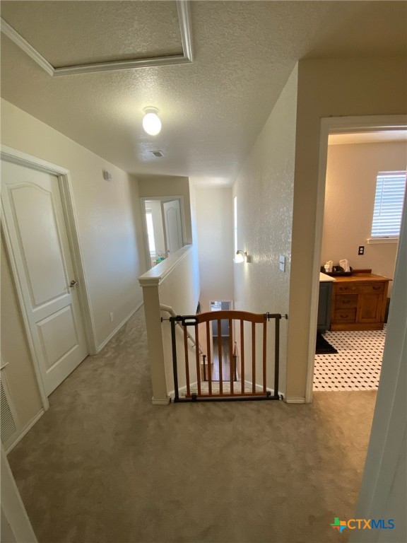 134 Hampton Cove Property Photo 16