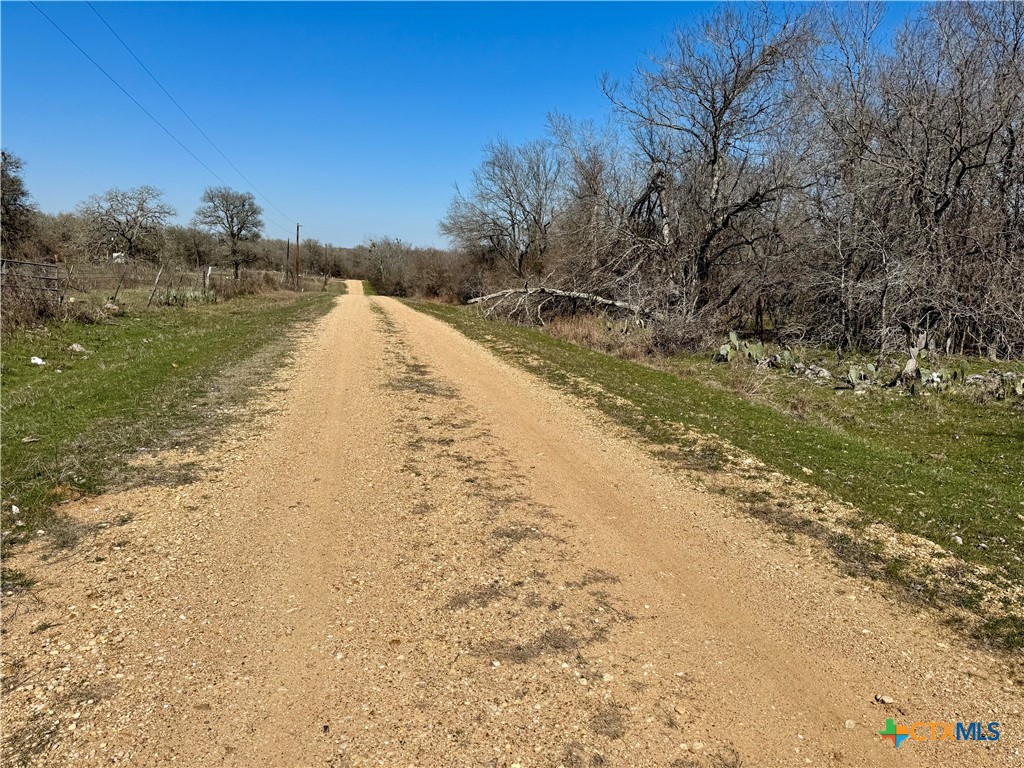 Tbd County Road 418a Property Photo 2