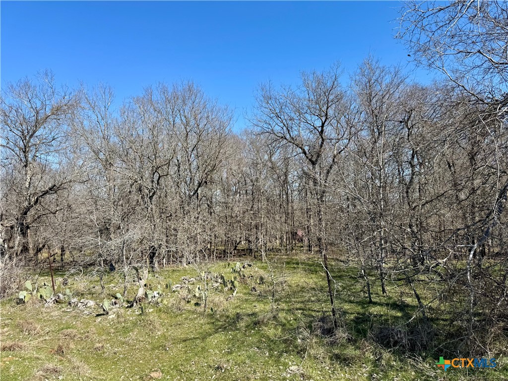 Tbd County Road 418a Property Photo 3