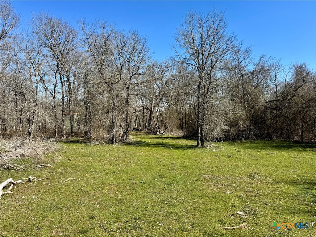 Tbd County Road 418a Property Photo 4