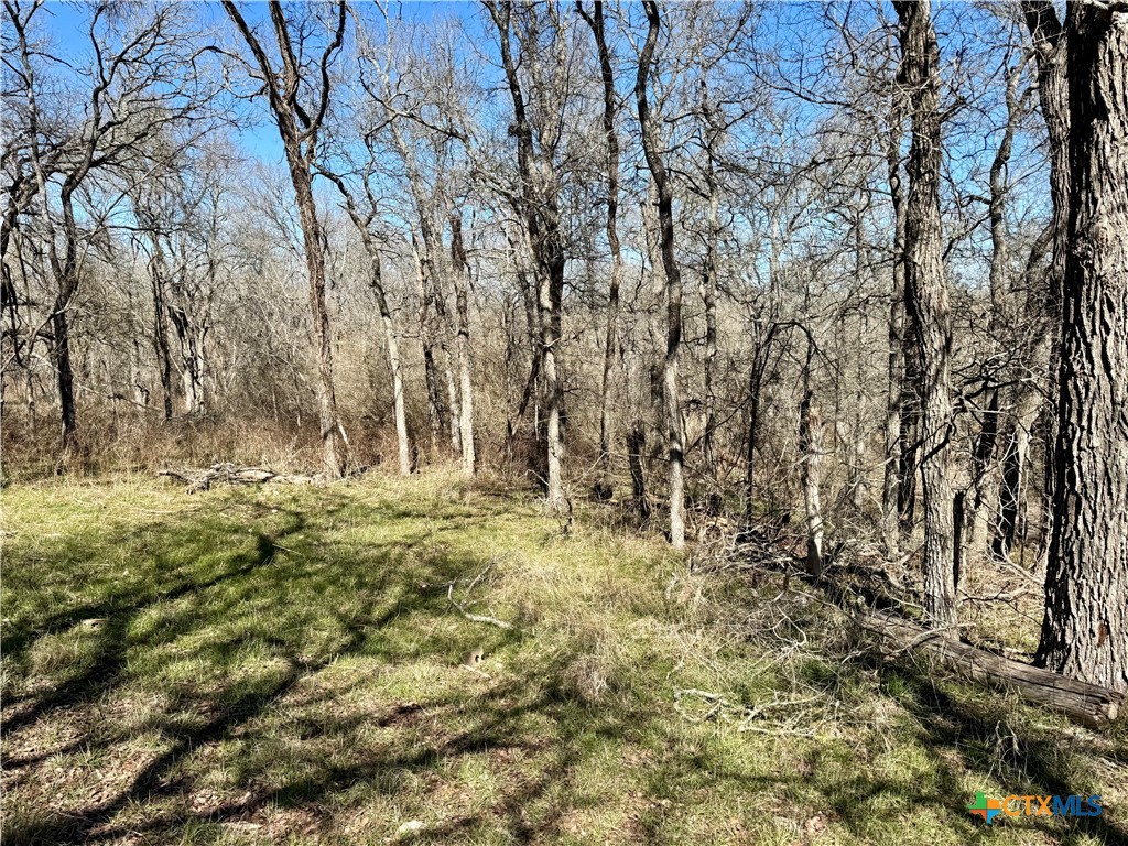 Tbd County Road 418a Property Photo 5