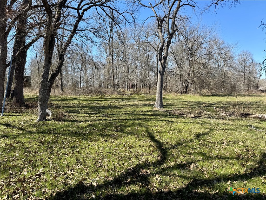 Tbd County Road 418a Property Photo 6