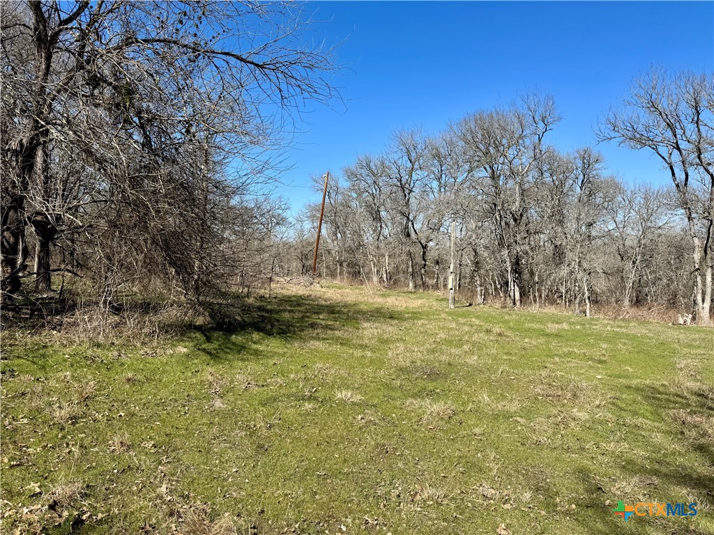 Tbd County Road 418a Property Photo 7