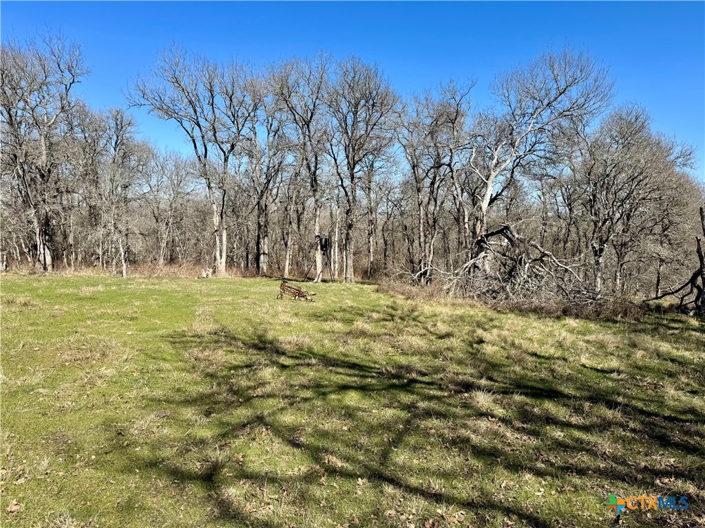 Tbd County Road 418a Property Photo 8