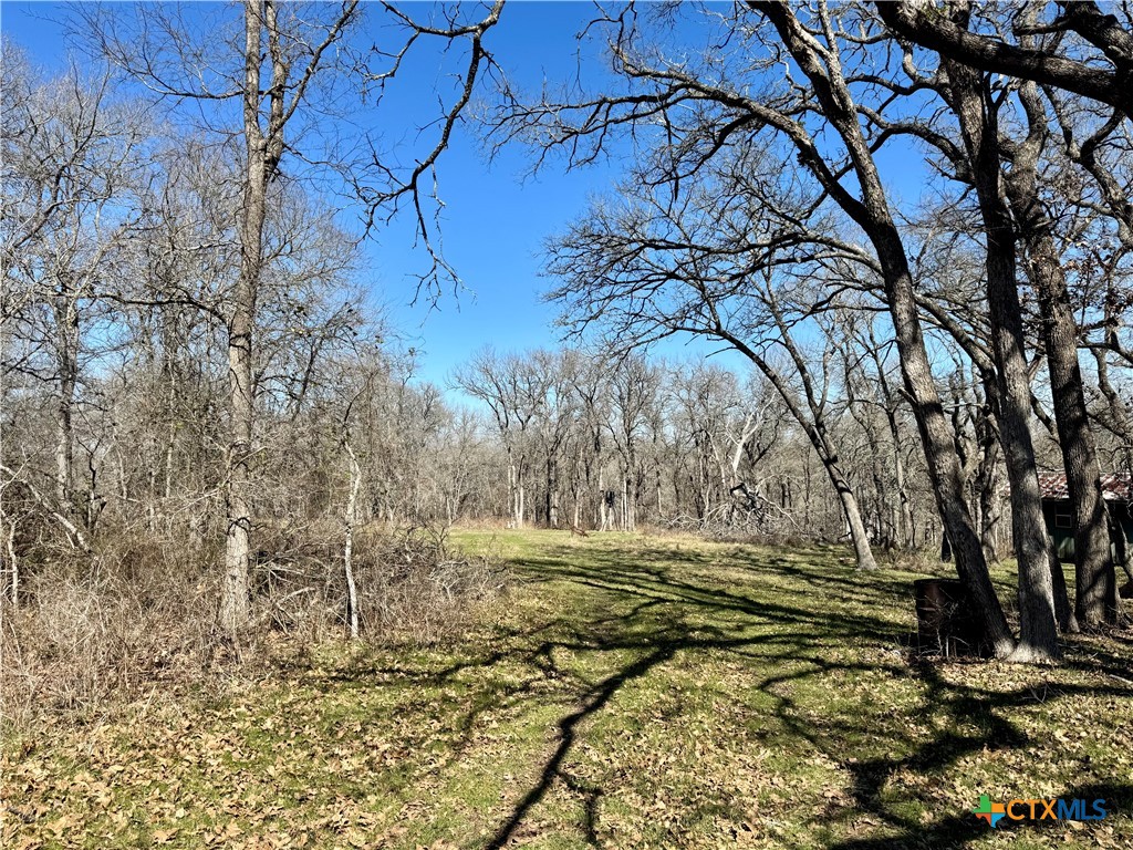 Tbd County Road 418a Property Photo 9
