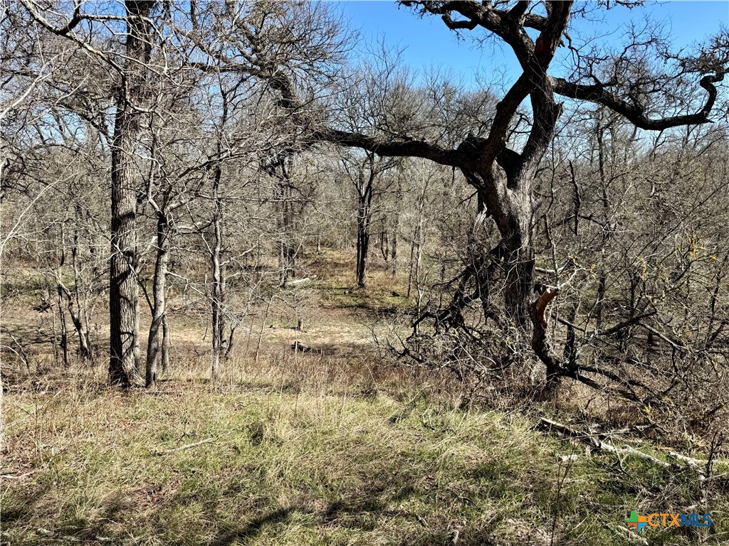Tbd County Road 418a Property Photo 14