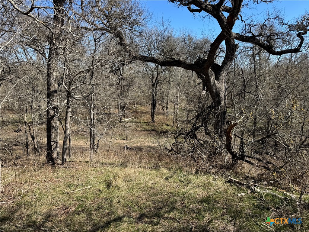 Tbd County Road 418a Property Photo 16