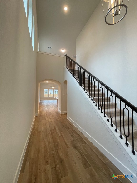 1052 Easy Gruene Property Photo 4