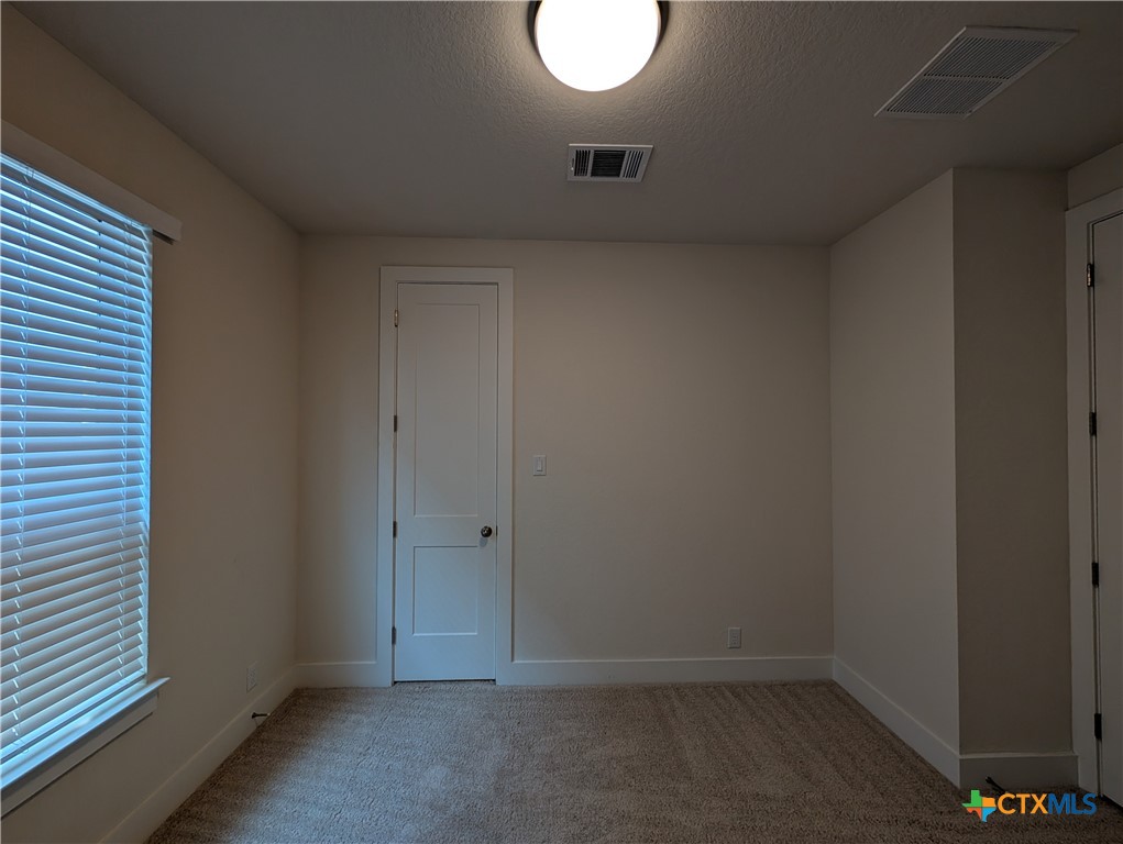 1052 Easy Gruene Property Photo 25