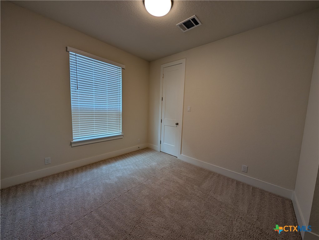 1052 Easy Gruene Property Photo 26