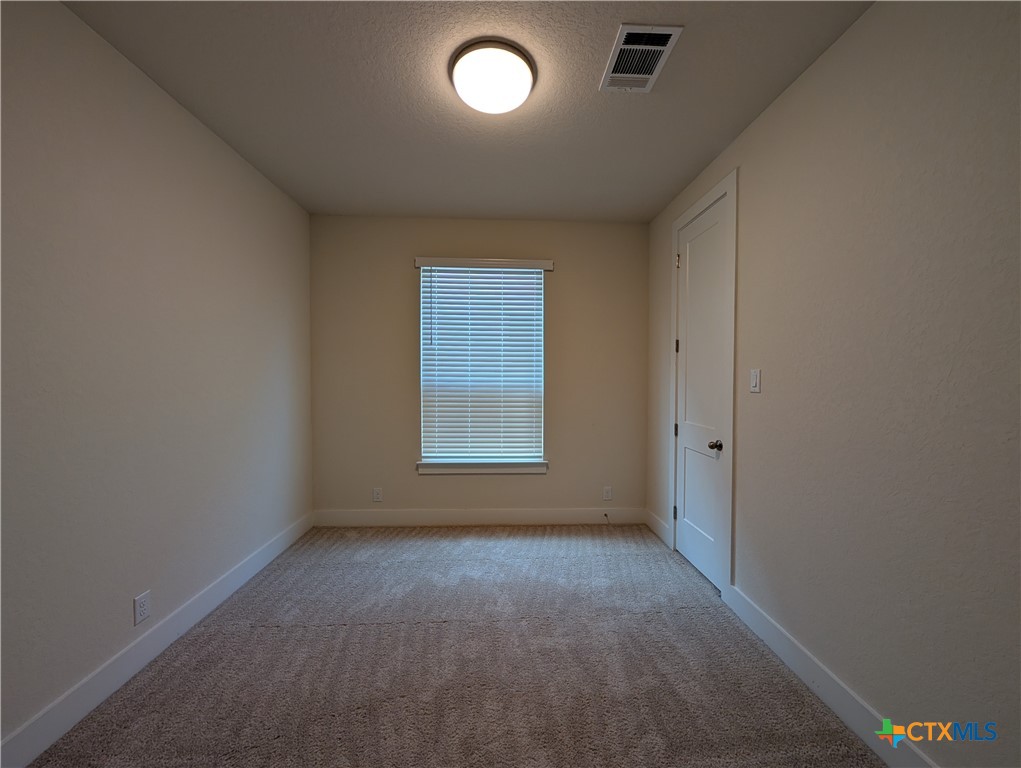 1052 Easy Gruene Property Photo 27