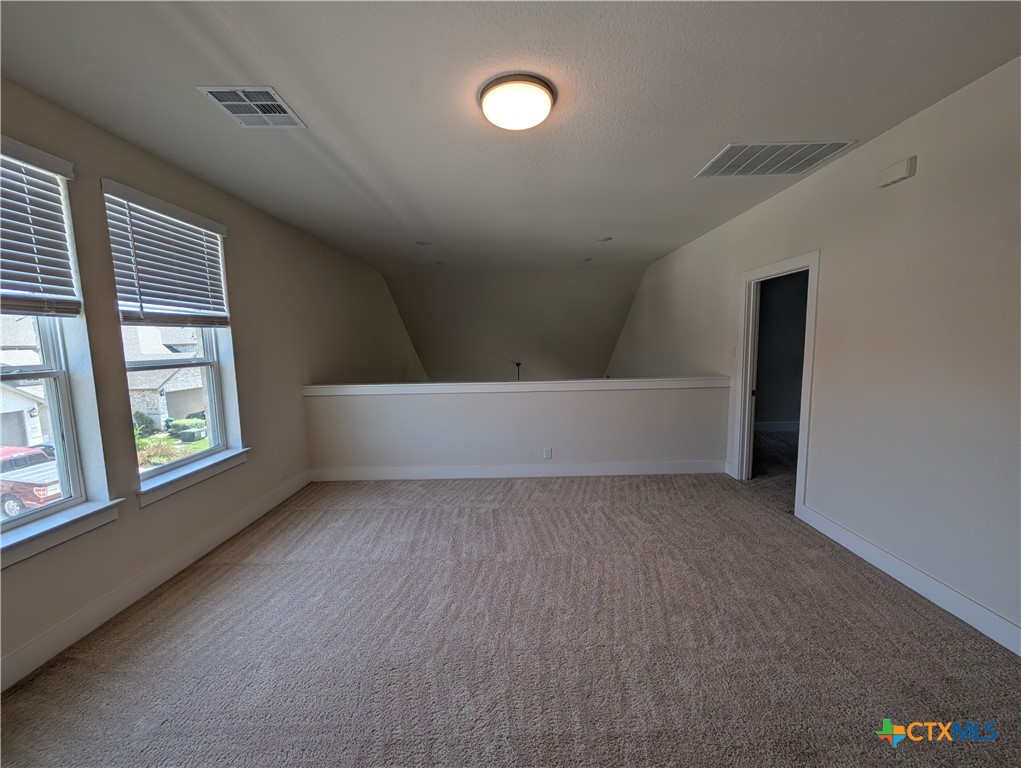 1052 Easy Gruene Property Photo 30