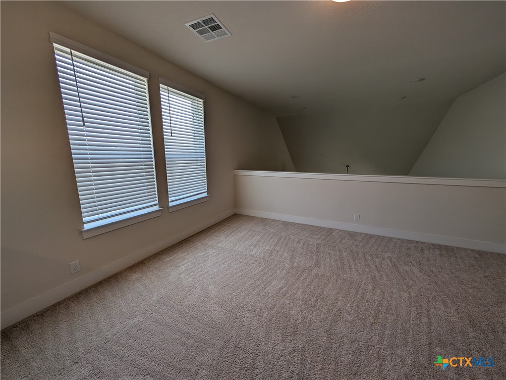 1052 Easy Gruene Property Photo 31