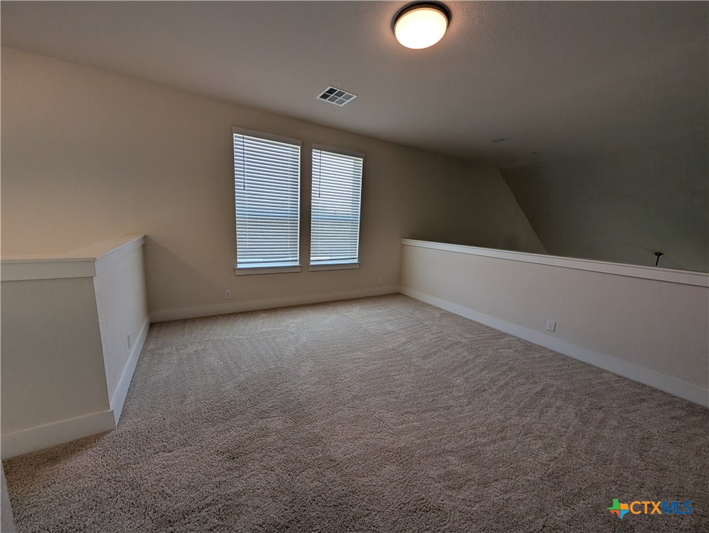 1052 Easy Gruene Property Photo 32