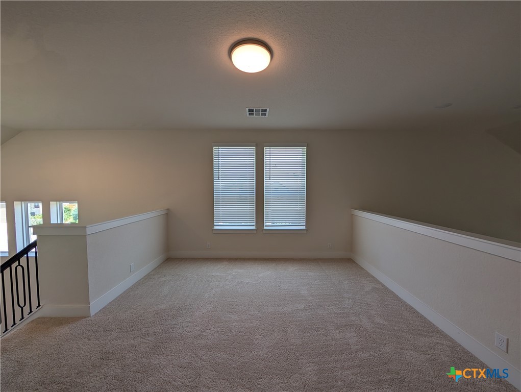 1052 Easy Gruene Property Photo 33