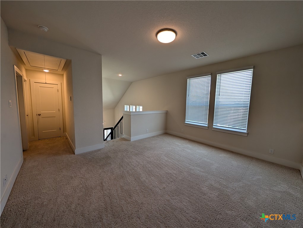 1052 Easy Gruene Property Photo 34