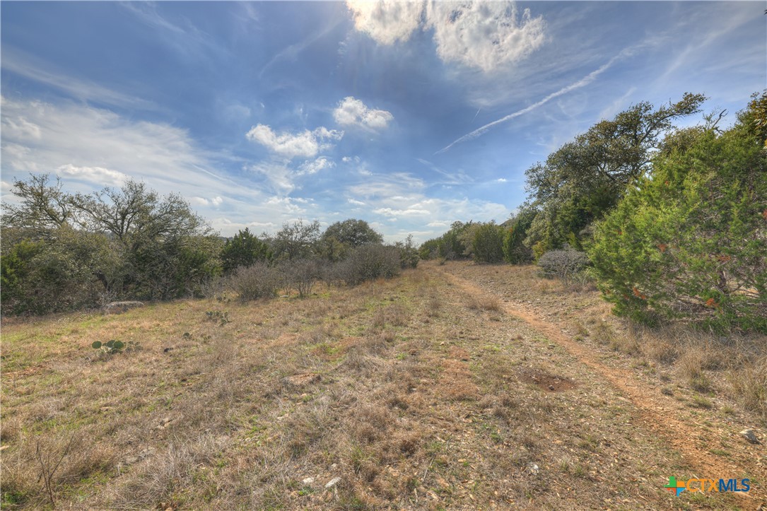 1010 Adriatico Property Photo 5