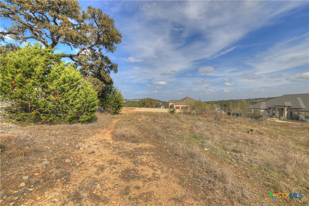 1010 Adriatico Property Photo 6