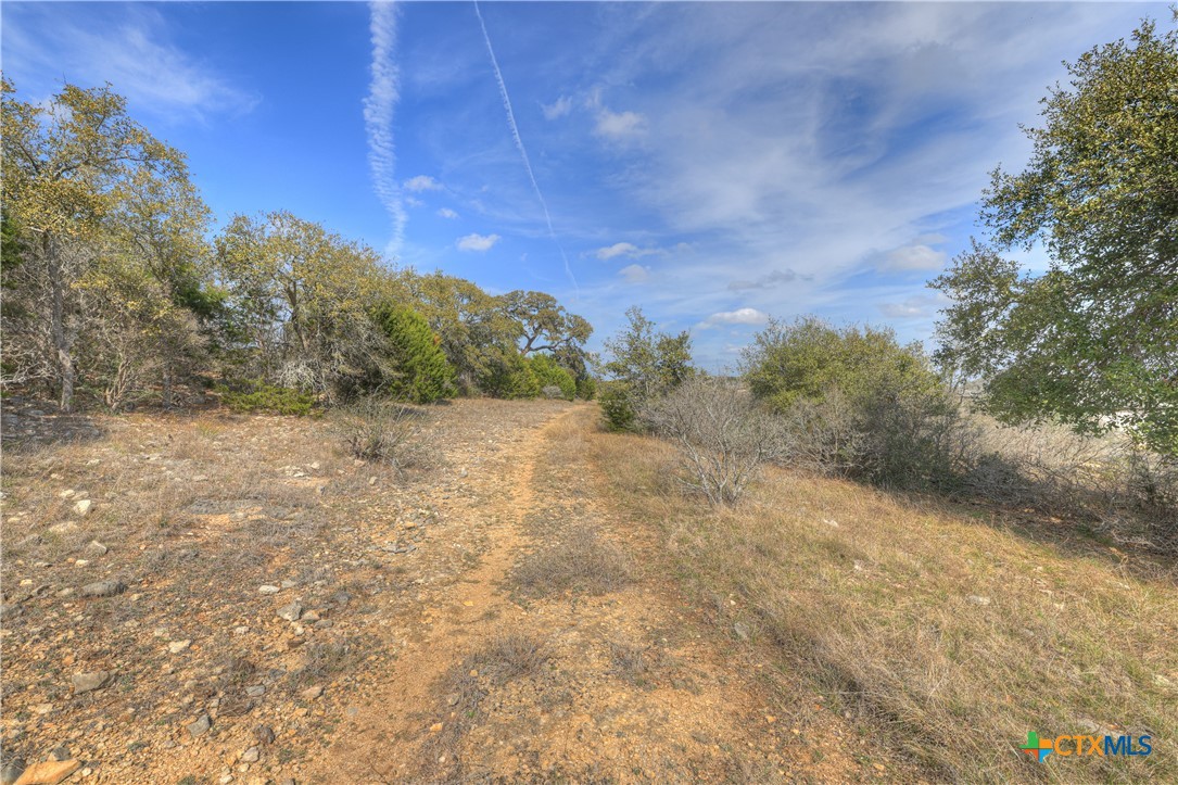 1010 Adriatico Property Photo 7