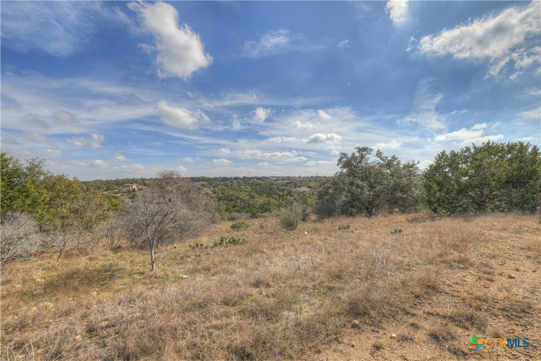 1010 Adriatico Property Photo 8