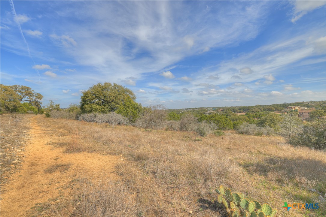 1010 Adriatico Property Photo 9