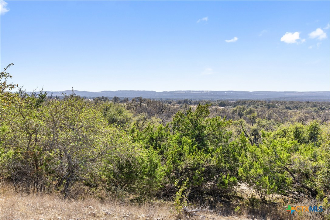 9069 Ranch Road 1323 Property Photo 36