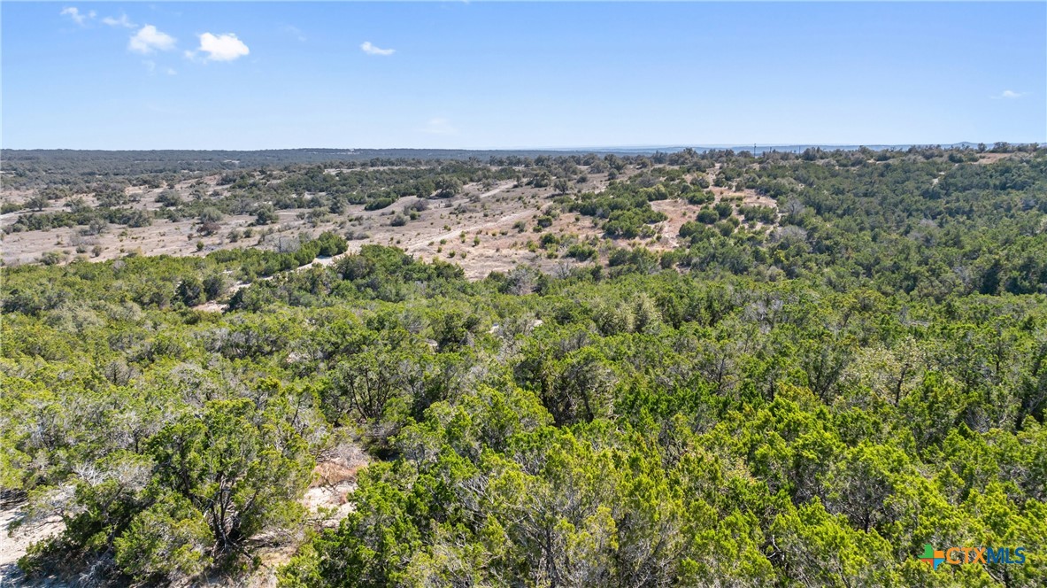 9069 Ranch Road 1323 Property Photo 42