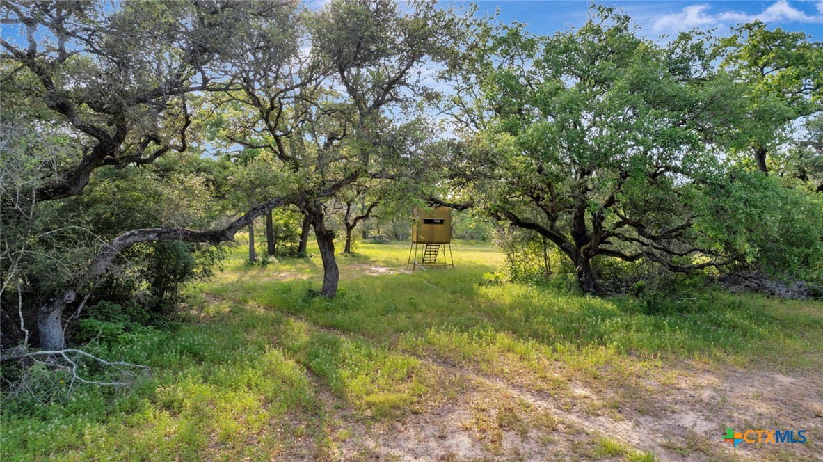 Tbd N Fm 822 Property Photo 6