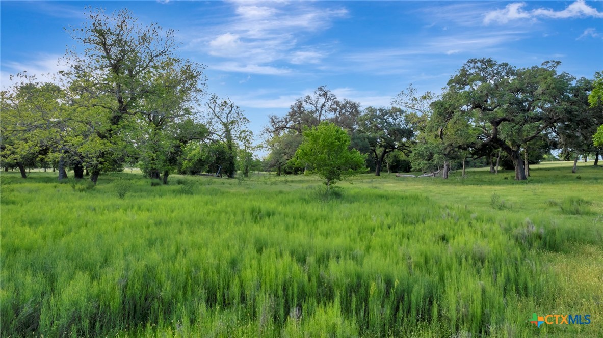 Tbd N Fm 822 Property Photo 19