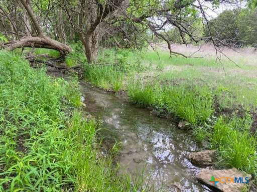 4183 County Road 220 Property Photo 6
