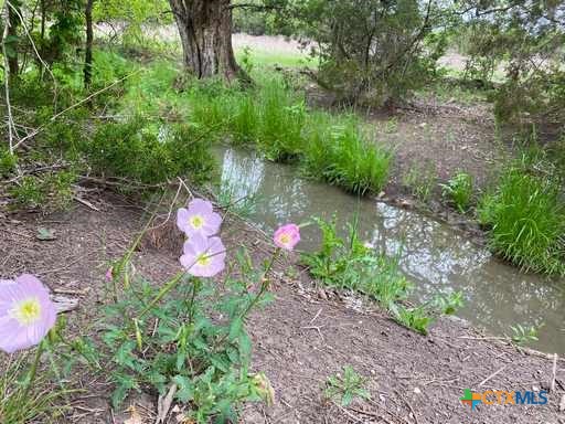 4183 County Road 220 Property Photo 11