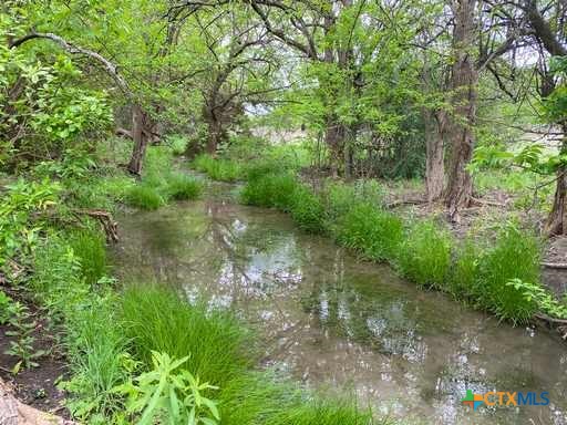 4183 County Road 220 Property Photo 15