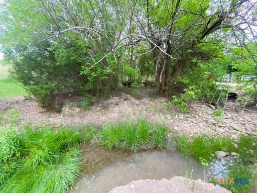 4183 County Road 220 Property Photo 26