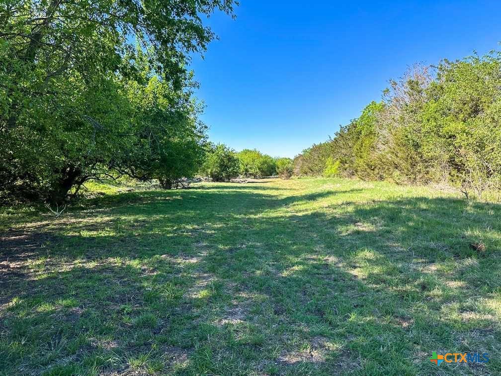 4183 County Road 220 Property Photo 37
