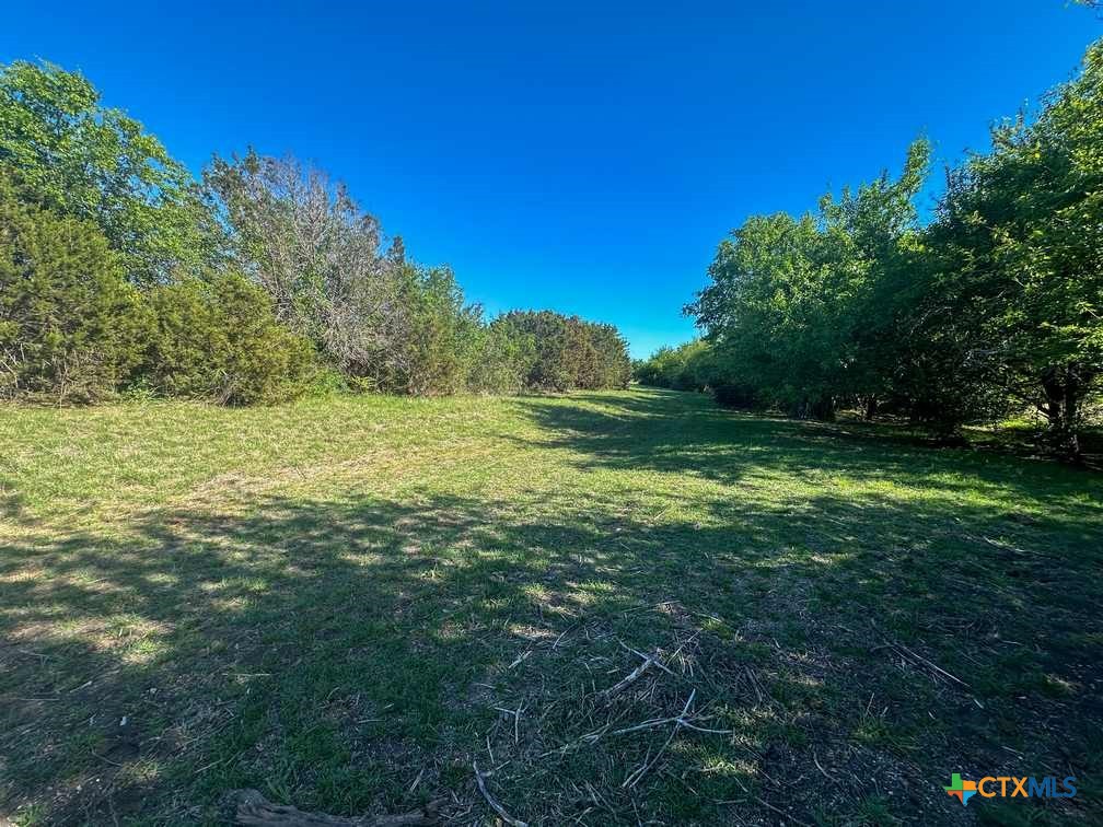 4183 County Road 220 Property Photo 39