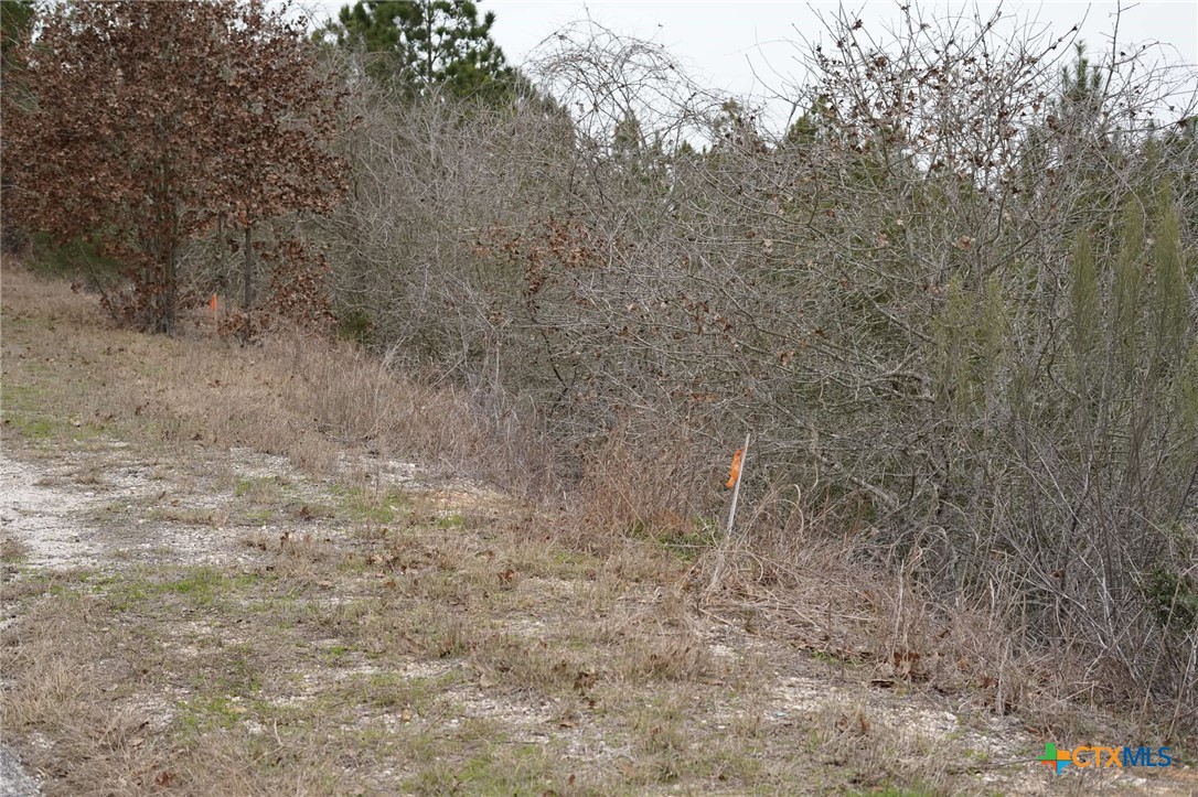 Tbd Lot 858 Mamalu Drive Property Photo 2