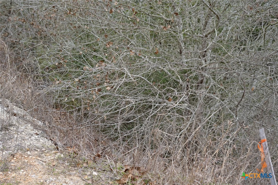 Tbd Lot 858 Mamalu Drive Property Photo 3