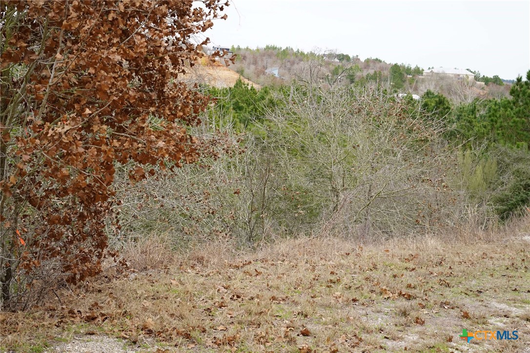 Tbd Lot 858 Mamalu Drive Property Photo 4