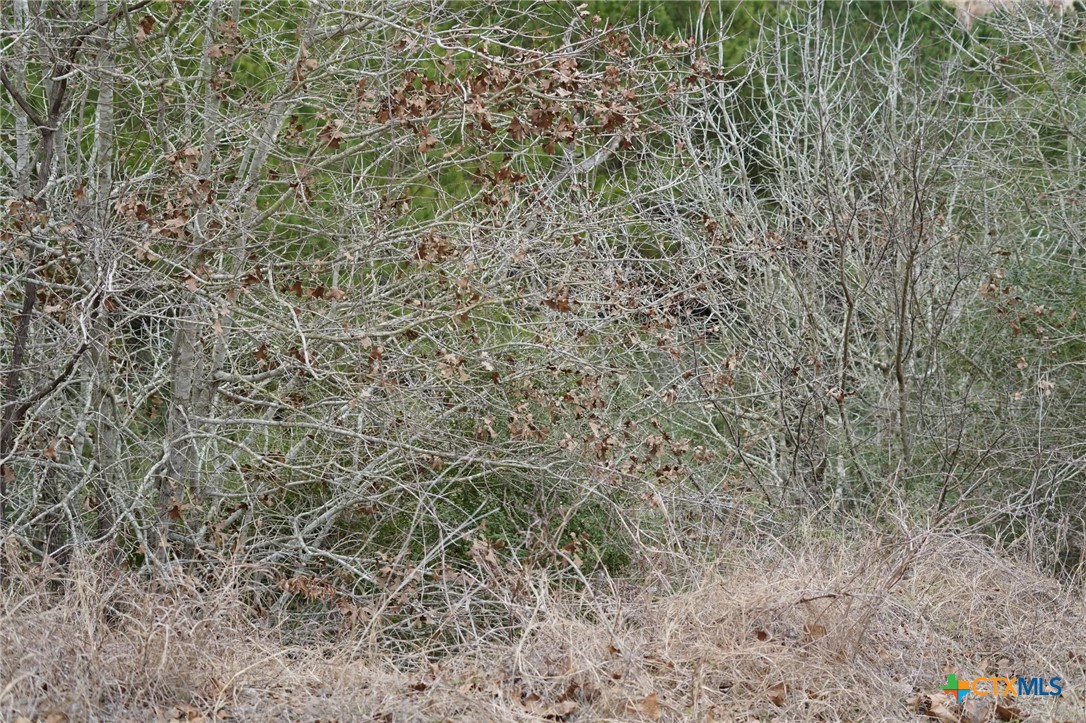 Tbd Lot 858 Mamalu Drive Property Photo 5