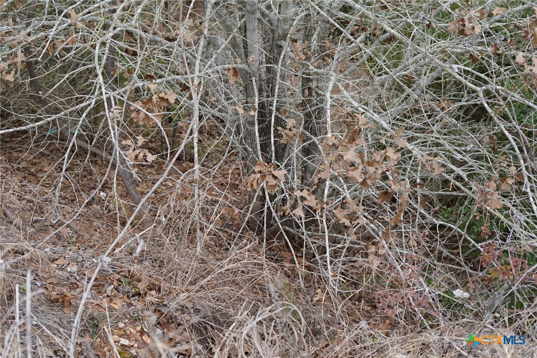 Tbd Lot 858 Mamalu Drive Property Photo 9