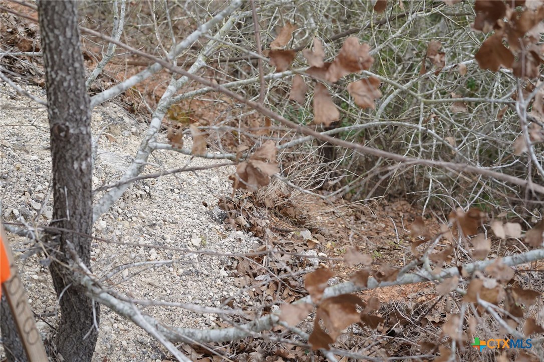 Tbd Lot 858 Mamalu Drive Property Photo 12