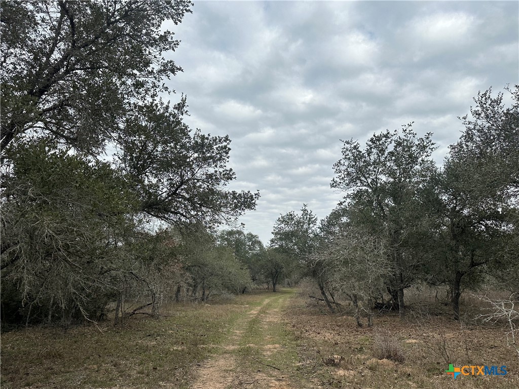 3 Dentler Tract 3 Road Property Photo
