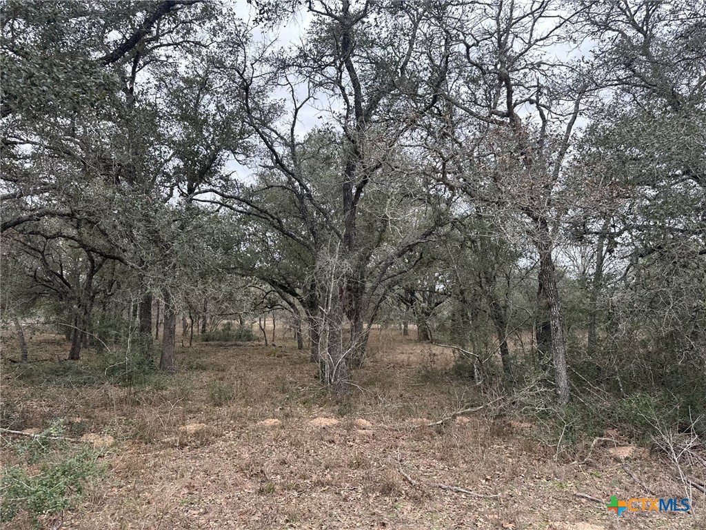 3 Dentler Tract 3 Road Property Photo 3