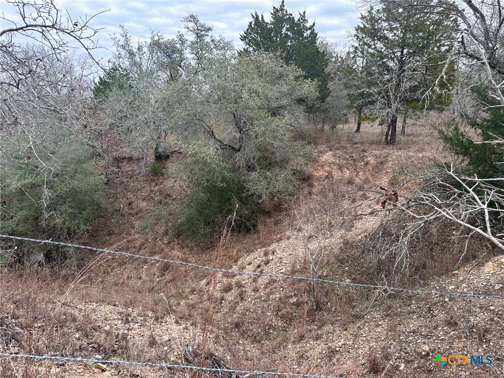 3 Dentler Tract 3 Road Property Photo 4