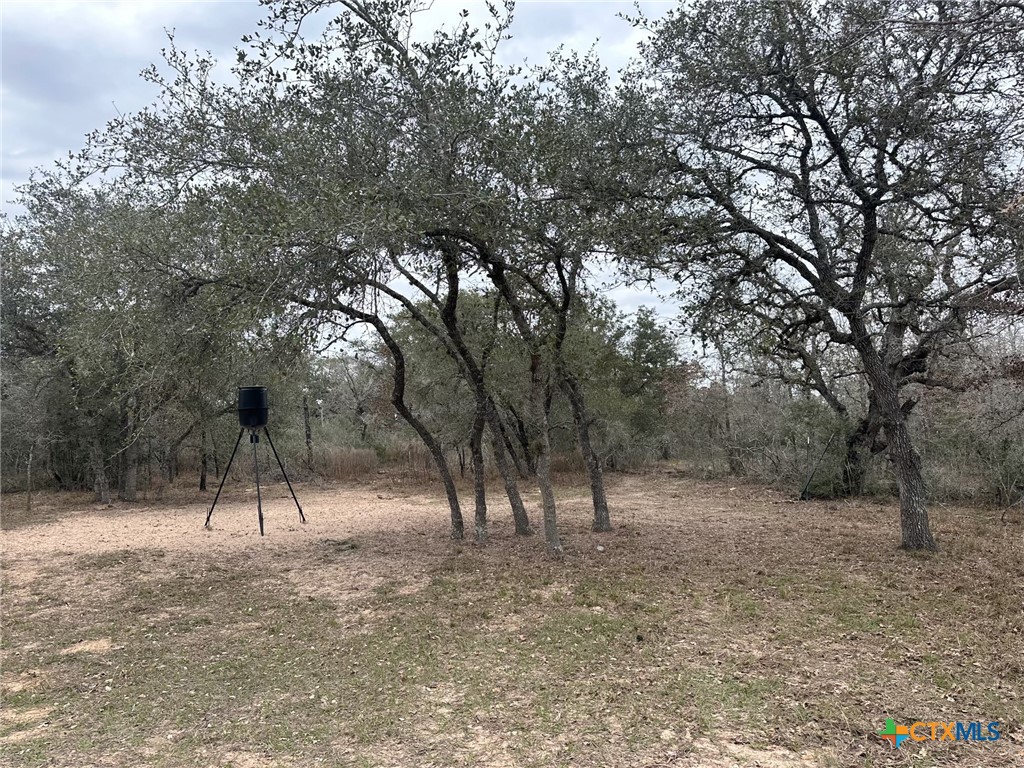 2 Dentler Tract 2 Road Property Photo