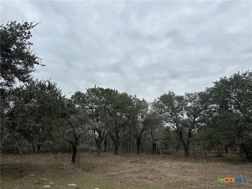 6 Dentler Tract 6 Road Property Photo 3