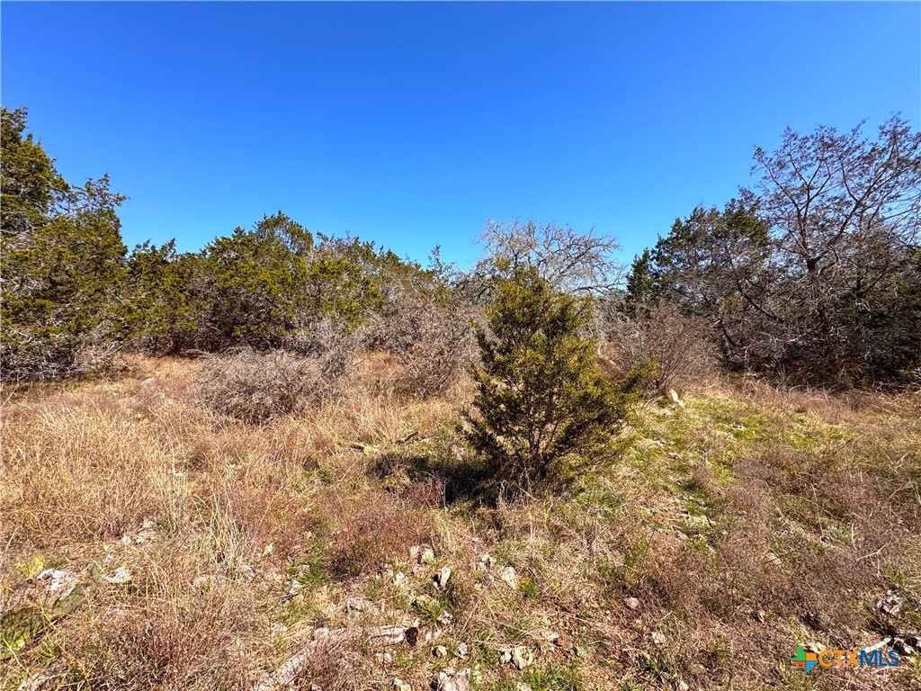 172 Rayner Court Property Photo 3