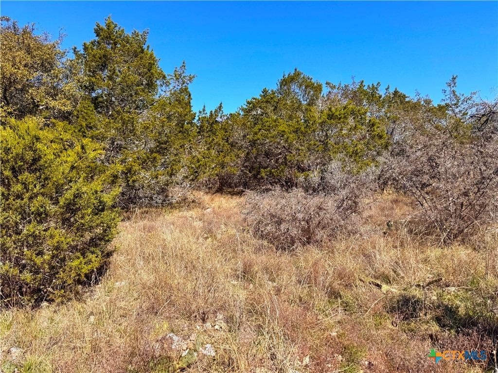 172 Rayner Court Property Photo 4